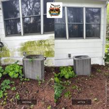 Mold mildew algae removal (4)